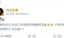 刘一飞最新爆料新闻,揭秘娱乐圈惊人内幕